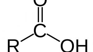 Тест по химии: Карбоновые кислоты (Габриелян, 10 класс, профильная)